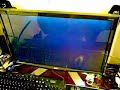 Vram not clearing on reboot? Vram not clearing on reboot?