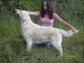 Junior-handling-Tere