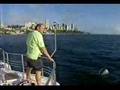 BARCOS PET NO BAHIA ESPORTE