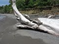 Effect of sea level rise