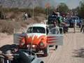 Club Roadrunner`s Caborca Son.