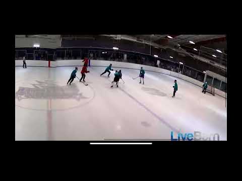 Using body and speed to get a scoring chance (NAHL camp)