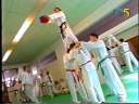 Fighters Magazine RTL5 1998 Taekwondo ITF Tapilatu Jump Kicks. Recorded from Dutch Tv 384x288. Hope you like it.