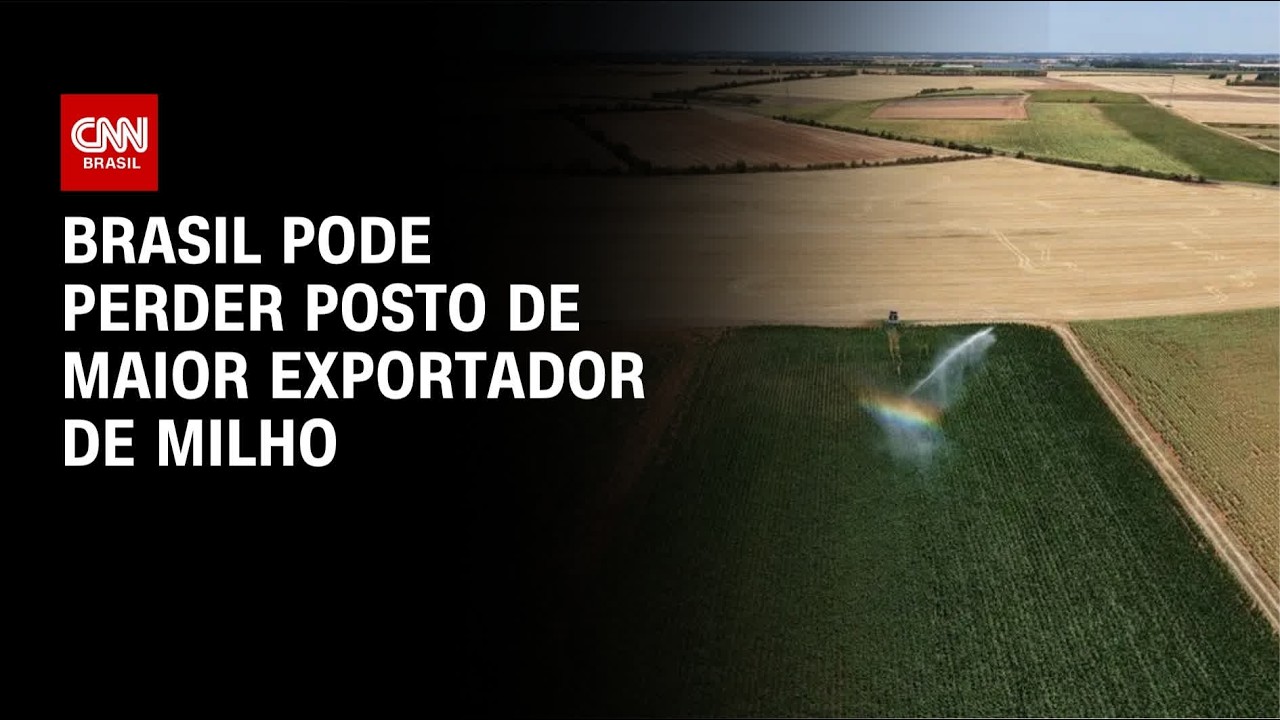 Brasil deve perder posto de 2º exportador de milho para Argentina | CNN AGRO NEWS