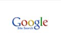 Google-Site-Search-Q