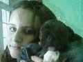 MY LIL BABY STAFF PUPPY, HARVEY