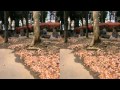 LUMIX GH2 3D Movie Test w/ LUMIX G 12.5mm/F12 (Edited)