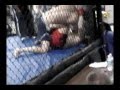 videos de graves vs johnson