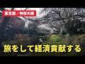 【2020年3月】東京都／神奈川県の旅 [小金井市／立川市／川崎市など]