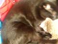 videos de luna.AVI