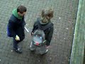 wij zijn duidelijk