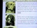 PetsOnBoard.com 1996 Our Original Adoption Site PetsOnBoard.com 1996 Our Original Adoption Site