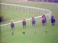 八十年代 「快樂」「同德」香港打 (沙田1800米) 29/01/1983 (同德, 快樂八十)「同德」刷新沙田馬場千六米紀錄沙田馬場是許多明星馬成名的起步點；與沙田馬場同時誕生的沙田錦標，也成為一眾頂級佳駟晉身馬王的階梯。一九八三年十一月六日，冠軍騎師告東尼夥拍「同德」奪取沙田錦標，堪稱經典之作。該役「同德」雖負150磅超頂磅上陣，卻不但能夠勝出，而且更造出一分三十三秒三的驚人締速，刷新沙田馬場千六米紀錄，至今無馬能及。這匹以廉價購入、由王登平訓練的澳洲自購馬，在八二年一月至八三年十一月期間，創下連勝十場的本港紀錄，並連續兩季榮膺香港馬王(八二/八三與八三/八四年度)。「同德」是一九八三年香港打比冠軍，亦曾兩勝香港冠軍暨遮打盃（八三及八四年），贏過的其他錦標還有香港金盃、馬登盃，並且曾經負154磅角逐生力盃竟然還大勝三個馬位，是一匹跑乾、濕、沙、草俱佳的全能馬王。