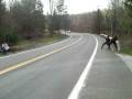2009-05-02 | Invisible rope ~> car pranks ... pranks ... (0:15)