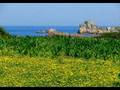 Hommage à ma Bretagne