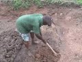 I'm a subsistence farmer... get me out of here! Premiere