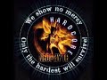 neophyte - back in my brain