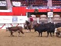 2007 NCHA Futurity Non-Pro Limited 2007 NCHA Futurity Non-Pro Limited