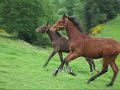 Takara LH et ses copines !