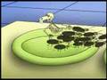 La chanson des insectes