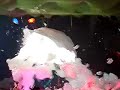 bcm start foam party