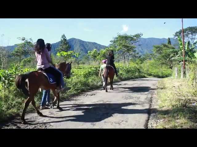 Profil Desa Tugu Selatan dan Tugu Utara