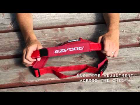 how to fit ezydog quick fit harness
