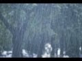 Heavy Rain Lashes in Nizamabad - TV5