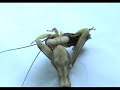 mantis attacksphodromantis viridis