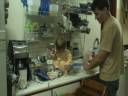 chimpanzee.wmv chimpanzee.wmv