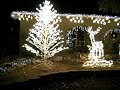Christmas lights