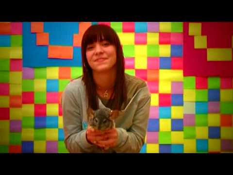 Flour - Van sok söröd