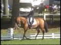 Acroliance Embregts - Dressuur