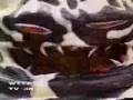 Terror Toad Eats Red and Blue Rangers  Vore