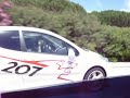 Pasote Peugeot 207 R-Cup