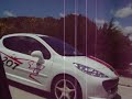 Pasote Peugeot 207 R-Cup