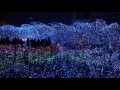 都内のイルミネーション見学