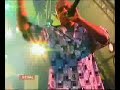 Gr�ne Brille Live 2000
