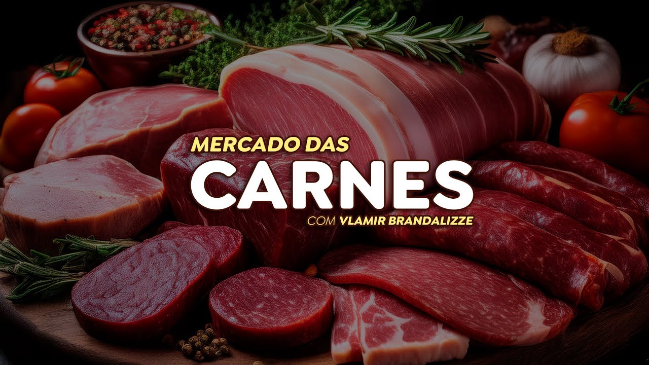 Exportações de carne bovina crescem e boi gordo deve valorizar nas próximas semanas