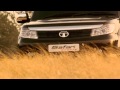 TV Commercial of Safari Storme videos