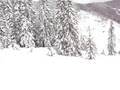 Skieen Saalbach Hinterglem 2007