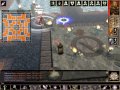 Neverwinter Nights