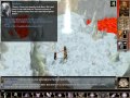 Neverwinter Nights
