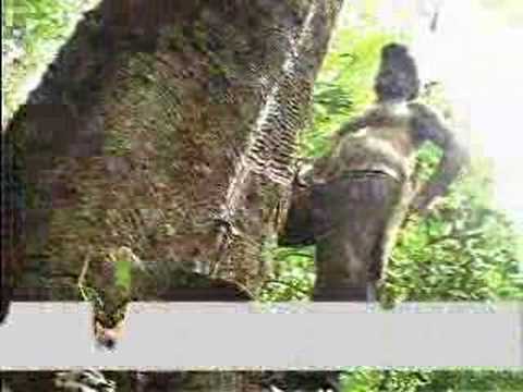 Imagem de Amostra do You Tube