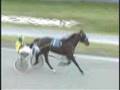 2007-11-18 Truro Amateur Races