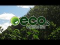 ECO2 Forests, Inc. (OTCPK: ECOF) – Green Stocks