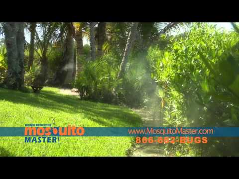 how to eliminate no see ums