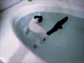 another amzae Water cat another amzae Water cat