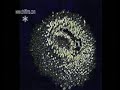 Giant Sunflowers by Metamatics  (nightmix edit)