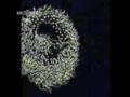 Giant Sunflowers by Metamatics (nightmix edit)